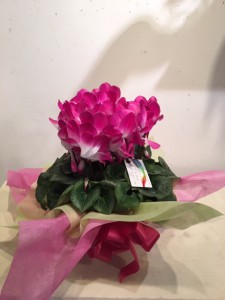 20191204-1
