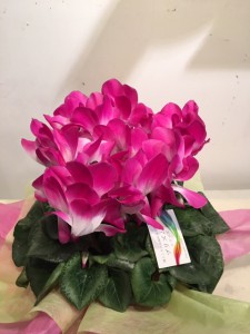 20191204-2